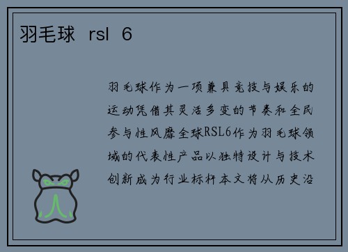 羽毛球  rsl  6